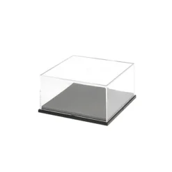 Wave T Case QS Display Case
