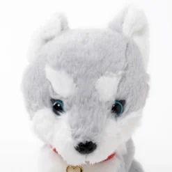 PUPS! Small Husky Plush -Doll Sale Shop 1bf6ea8c94d94e84a3eefd3ab66aaa3a.jpg