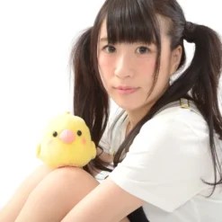 Kotori Tai Waku Waku Bird Plush Collection (Standard) -Doll Sale Shop 1c425642cdb244b399aa0c164eff61a3.jpg