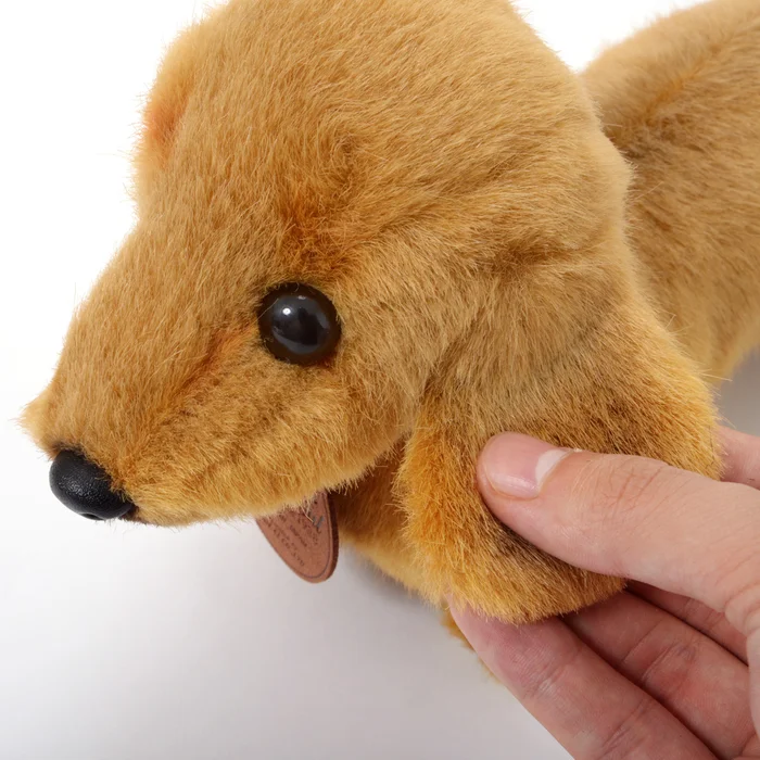 Graceful Small Dachshund Plush 12 Graceful Small Dachshund Plush - Image 12