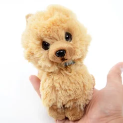 PUPS! Small Pomeranian Plush -Doll Sale Shop 2c20c135452742aaa4dfd9c269d6481e.jpg