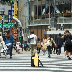 Elite Banana Banao Peelable Medium Plush -Doll Sale Shop 4671ecf07ac64e9eb7fe5b42f9811c33.jpg