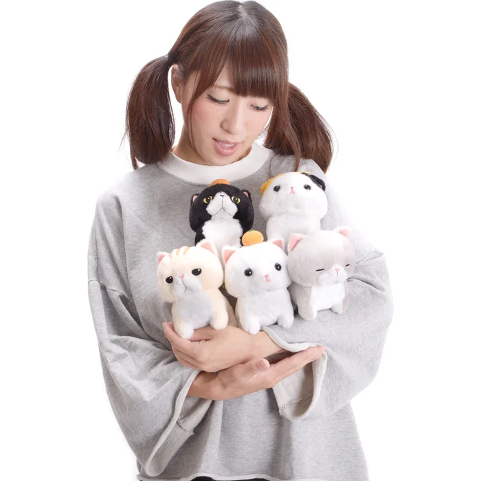 Noseteru Munchkin Cat Plush Collection (Standard) 16 Noseteru Munchkin Cat Plush Collection (Standard) - Image 16