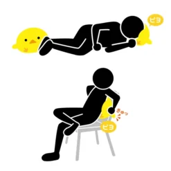 MOGU Piyo Beanbag Cushion Plush Collection -Doll Sale Shop 62684e6a38c14e908596bcafeed54ff3.jpg