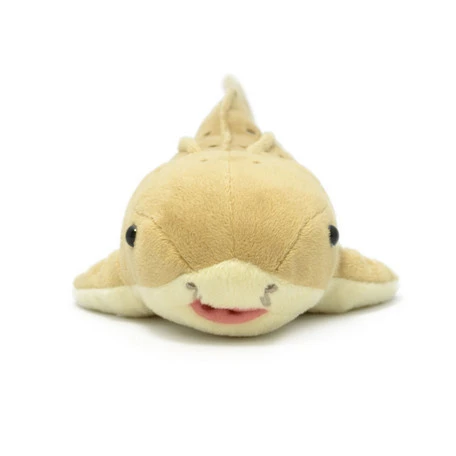 Zebra Shark Plushie 5 Zebra Shark Plushie - Image 5