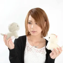 Chinmari Munchkin Cat Plush Collection (Standard) -Doll Sale Shop 8de071c2bfda458bb50a4e03df9496b1.jpg