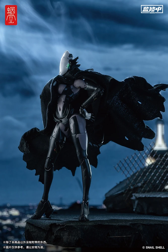 Assassin 1/12 Scale Action Figure 9 Assassin 1/12 Scale Action Figure - Image 9