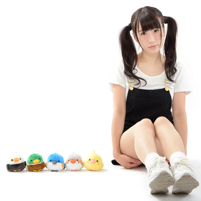 Kotori Tai Waku Waku Bird Plush Collection (Ball Chain) 10 Kotori Tai Waku Waku Bird Plush Collection (Ball Chain) - Image 10