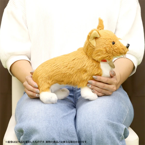 Cowboy Bebop Ein Plush 5 Cowboy Bebop Ein Plush - Image 5