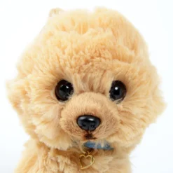 PUPS! Small Pomeranian Plush -Doll Sale Shop c7476dd0a6a4401682b358764334a9ef.jpg