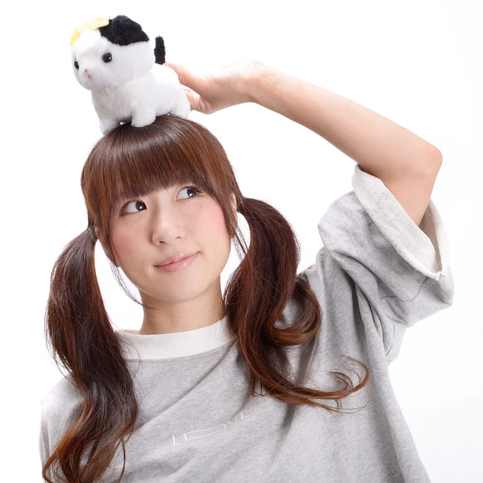 Noseteru Munchkin Cat Plush Collection (Standard) 19 Noseteru Munchkin Cat Plush Collection (Standard) - Image 19