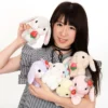 Pote Usa Loppy Strawberry Plush Collection (Standard)