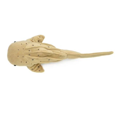 Zebra Shark Plushie 7 Zebra Shark Plushie - Image 7